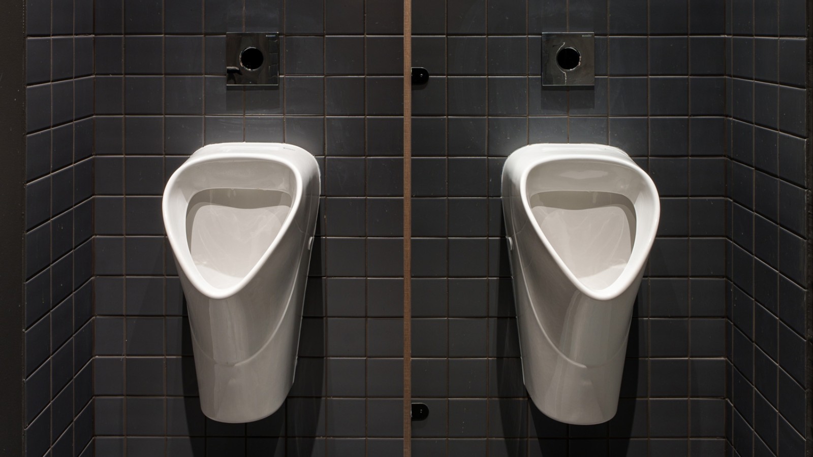 Klassisch-elegant: die Urinal-Keramiken der Linie Selnova (© Jānis Salmanis) Klassisch-elegant: die Urinal-Keramiken der Linie Selnova (© Jānis Salmanis)
